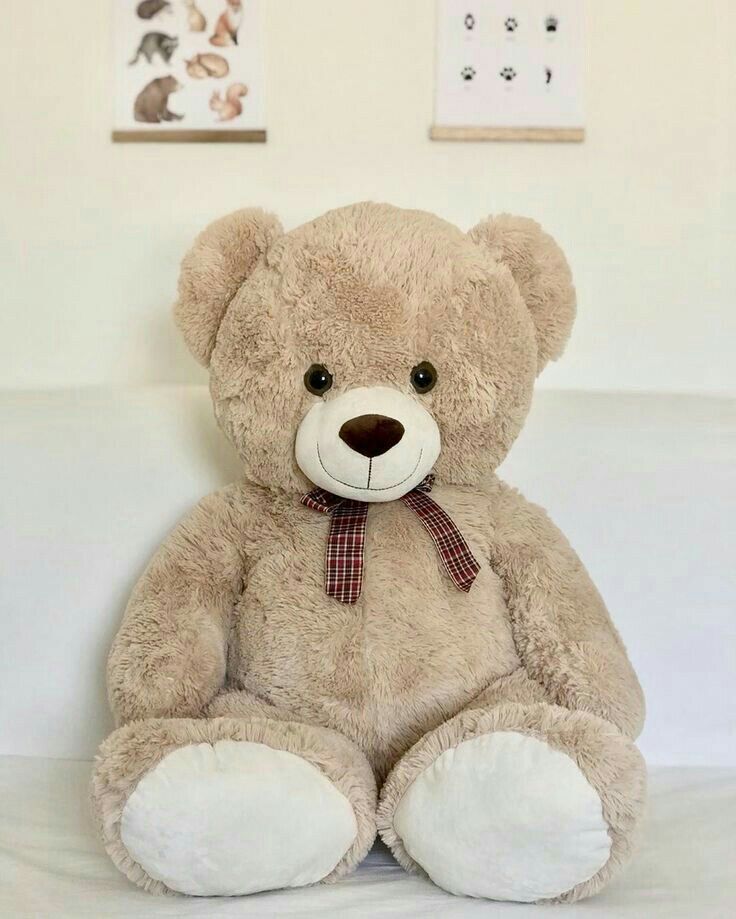 Teddy Bear